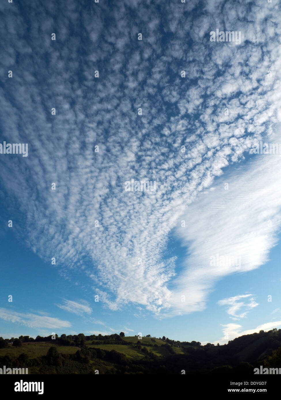 Cirrus und Cirrocumulus Wolken hoch über Hügeln in einem blauen Himmel an einem heißen Spätsommerabend im ländlichen Wales Großbritannien KATHY DEWITT Stockfoto