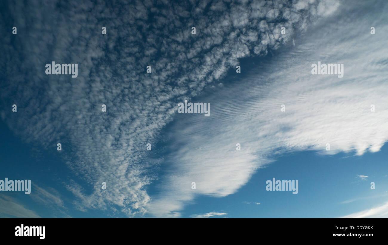 Cirrus und Cirrocumulus Wolken hoch am blauen Himmel an einem heißen Spätsommer-Abend im ländlichen Wales UK KATHY DEWITT Stockfoto