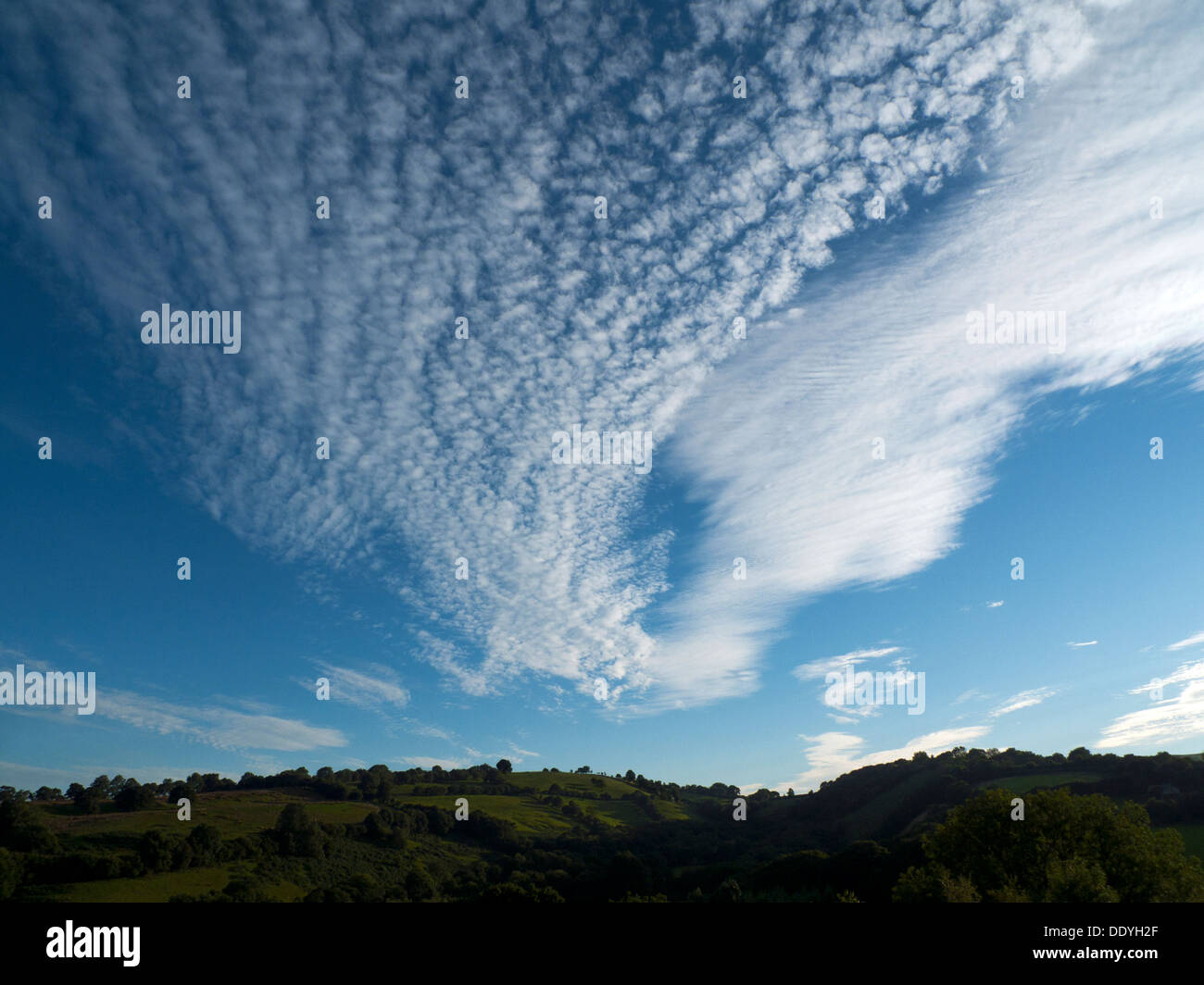 Cirrus und Cirrocumulus Wolken hoch am blauen Himmel an einem heißen Spätsommer-Abend im ländlichen Wales UK KATHY DEWITT Stockfoto