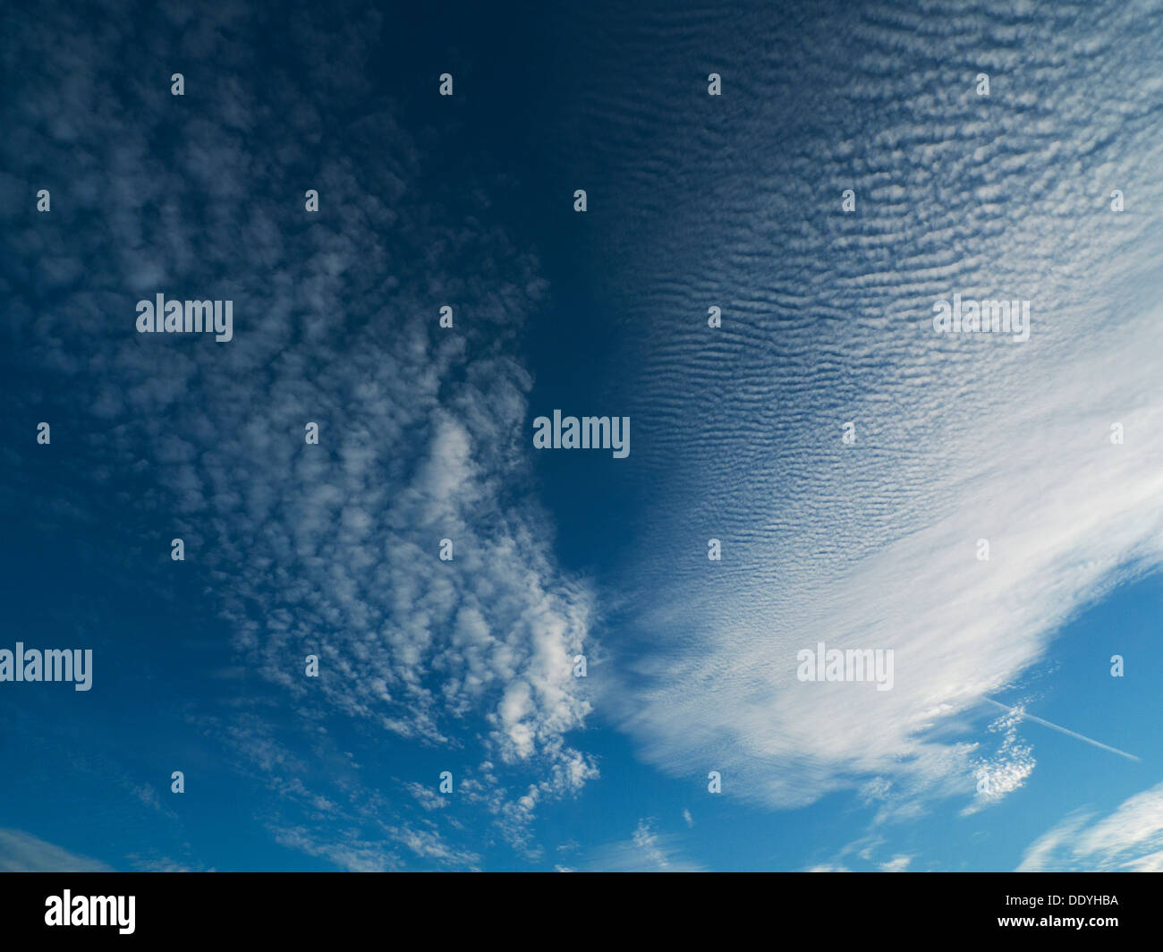 Cirrus und Cirrocumulus Wolken hoch am blauen Himmel an einem heißen Spätsommer-Abend im ländlichen Wales UK KATHY DEWITT Stockfoto