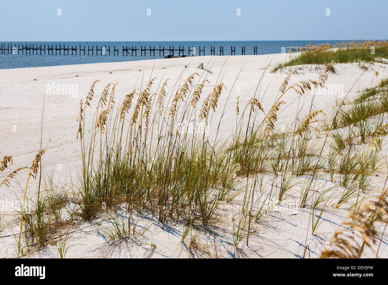 Sehafer für Erosionsschutz auf den Mann gemacht Sandstrand am Golf von Mexiko in Gulfport und Biloxi, Mississippi Stockfoto