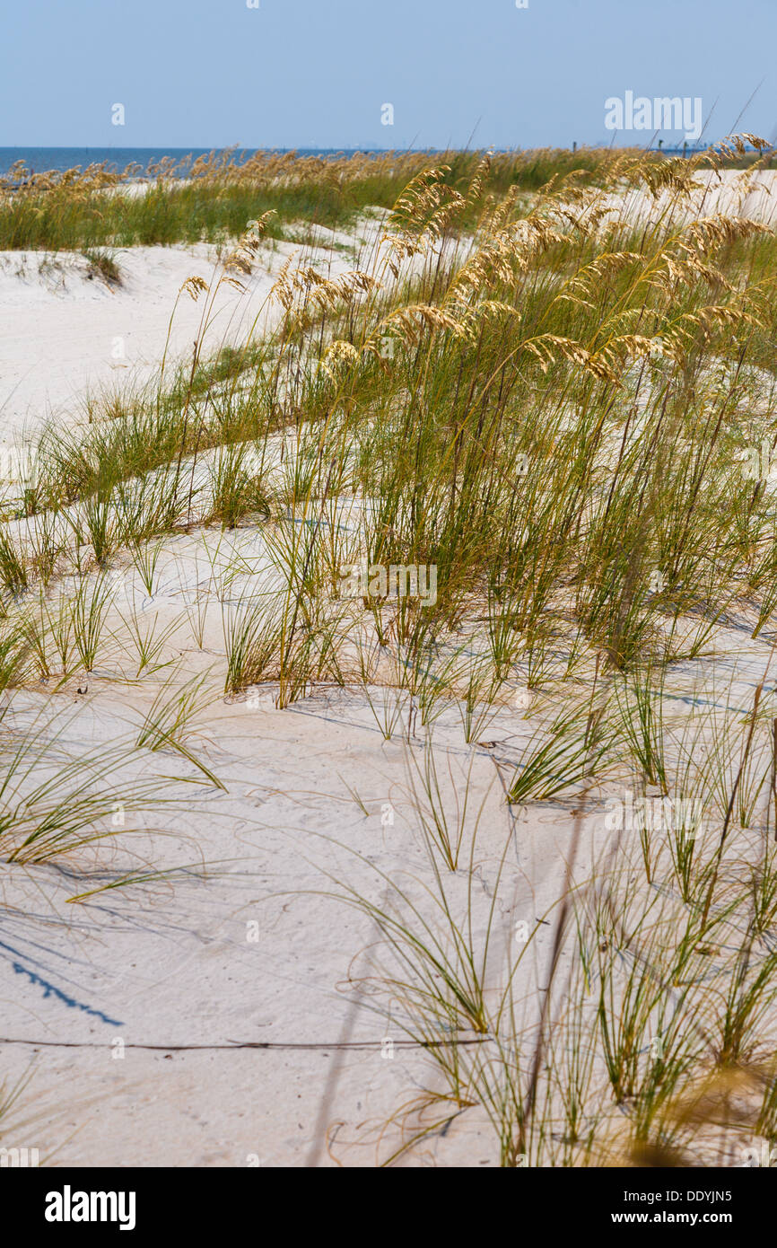 Sehafer für Erosionsschutz auf den Mann gemacht Sandstrand am Golf von Mexiko in Gulfport und Biloxi, Mississippi Stockfoto