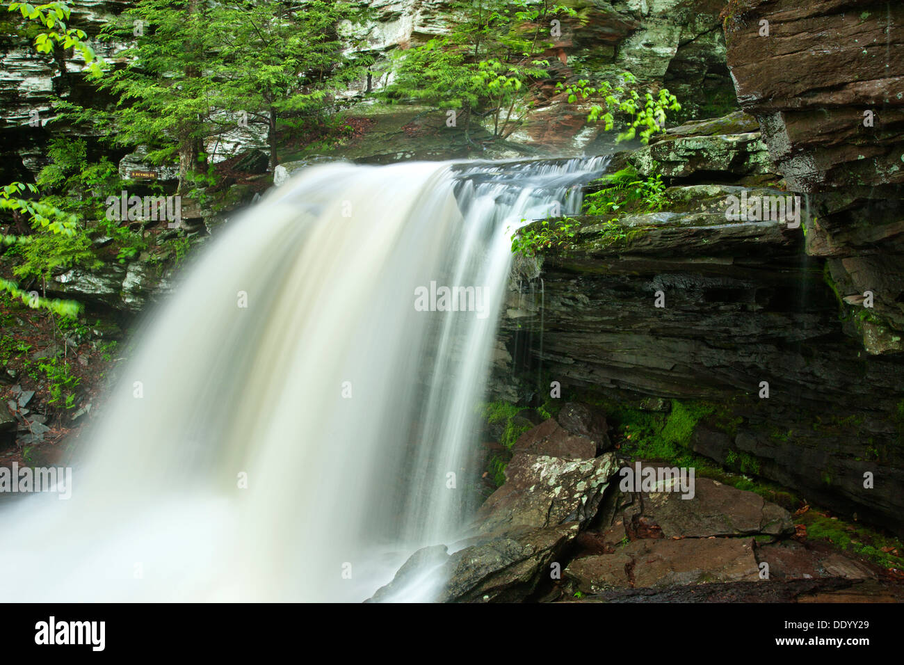 B REYNOLDS WASSERFALL KÜCHE CREEK RICKETTS GLEN STATE PARK LUZERNE COUNTY PENNSYLVANIA USA Stockfoto