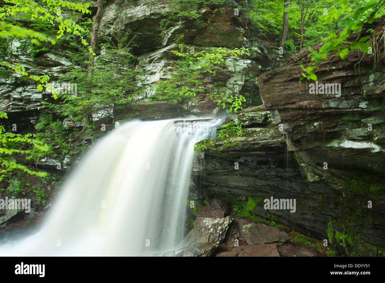 B REYNOLDS WASSERFALL KÜCHE CREEK RICKETTS GLEN STATE PARK LUZERNE COUNTY PENNSYLVANIA USA Stockfoto