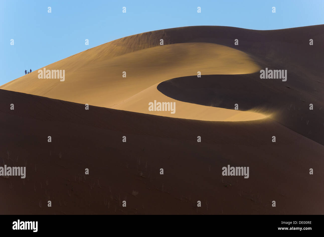 Touristen Klettern Big Daddy, die höchste Sanddüne in der Region, Sossusvlei, Namib-Naukluft-Nationalpark, Namibia Stockfoto