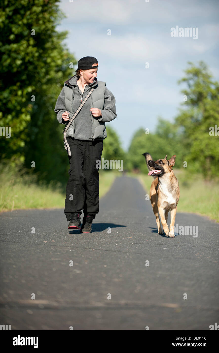 Frau mit einem Malinois oder belgischen Schäferhund Joggen Stockfotografie  - Alamy