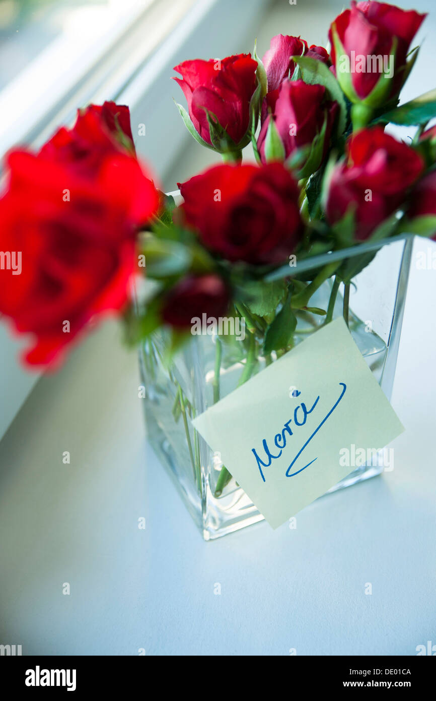 Rote Rosen in Vase mit einem Hinweis "Merci" Stockfoto