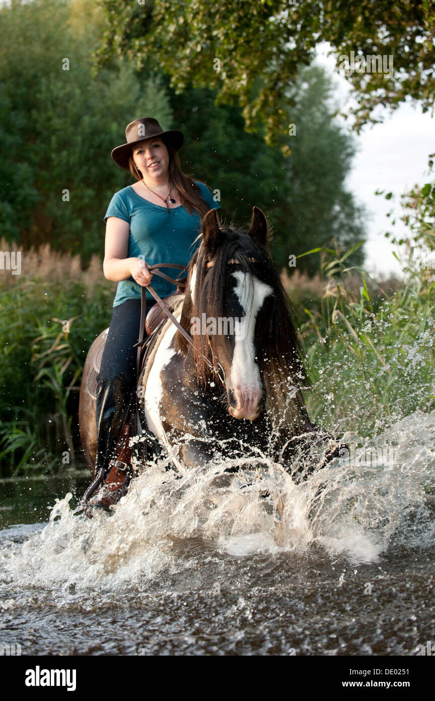 Frau reitet auf Irish Tinker durch Wasser Stockfoto