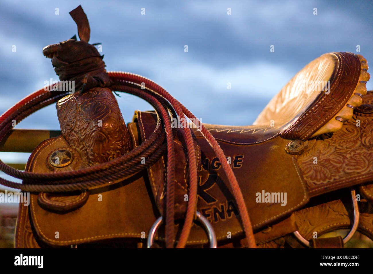 Nahaufnahme von Sattel, Seil & tack auf Pferd, Chaffee County Fair & Rodeo Stockfoto