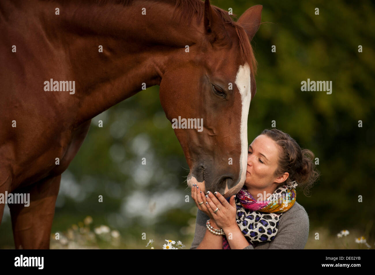 Frau küssen Hannoveraner Pferd Stockfoto