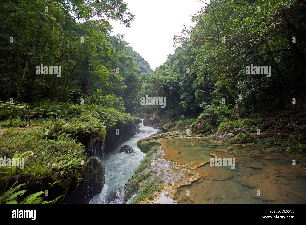 Semuc Champey, in der Region Alta Verapaz in Guatemala, bestehend aus natürlichem Kalkstein Brücke und Naturpool. Stockfoto