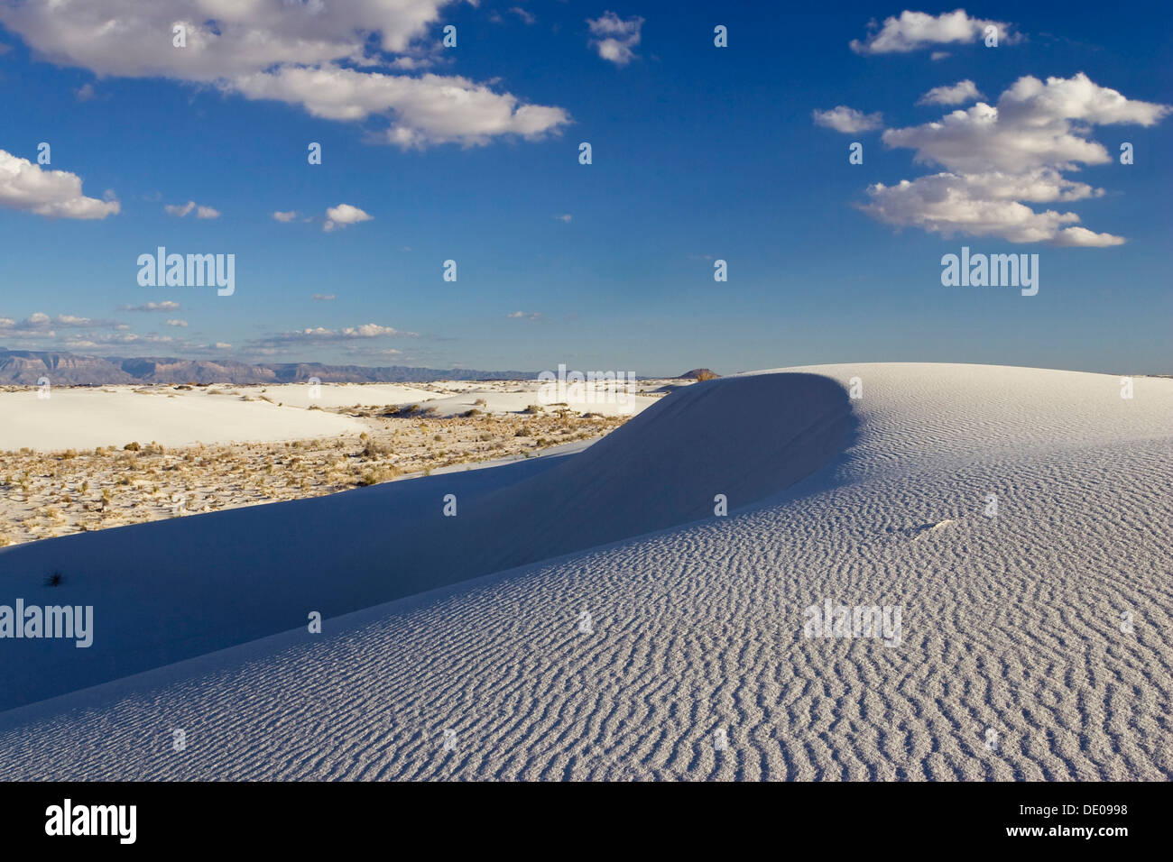 Dünen, Licht und Schatten, White Sands National Monument, New Mexico, USA, Nordamerika Stockfoto