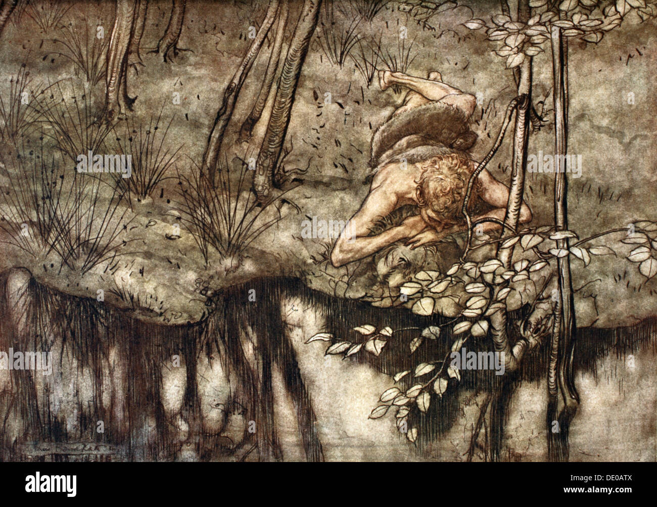 "Siegfried sieht sich im Bach", 1924.  Künstler: Arthur Rackham Stockfoto