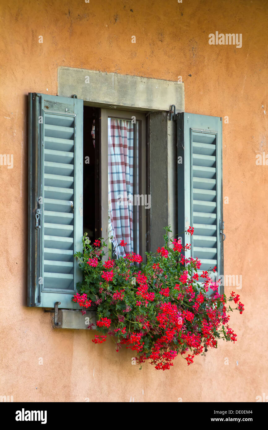 Vintage-Fenster mit offenen Fensterläden aus Holz und frische Blumen Stockfoto