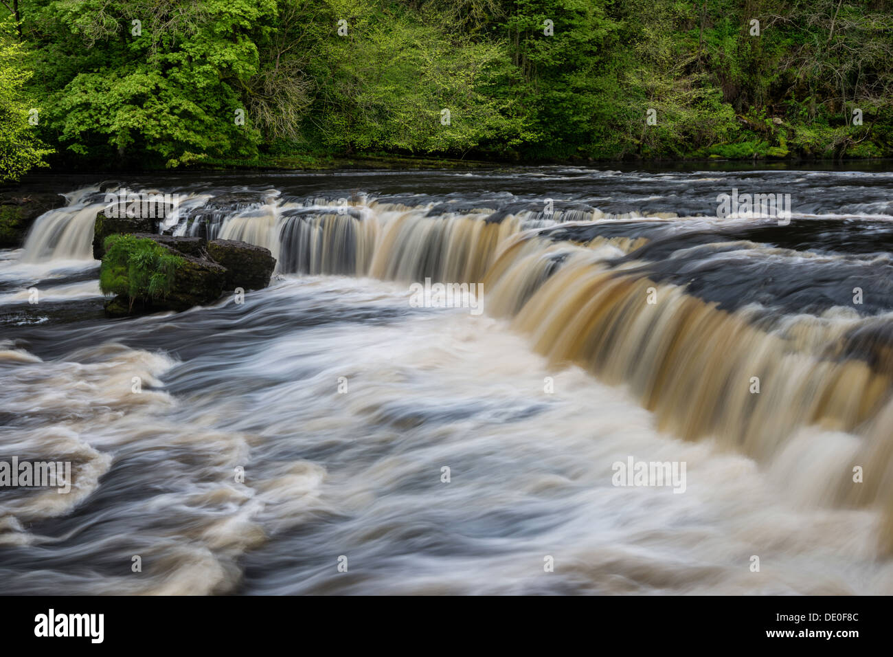 Oberen Aysgarth verliebt sich in Yorkshire Dales Stockfoto