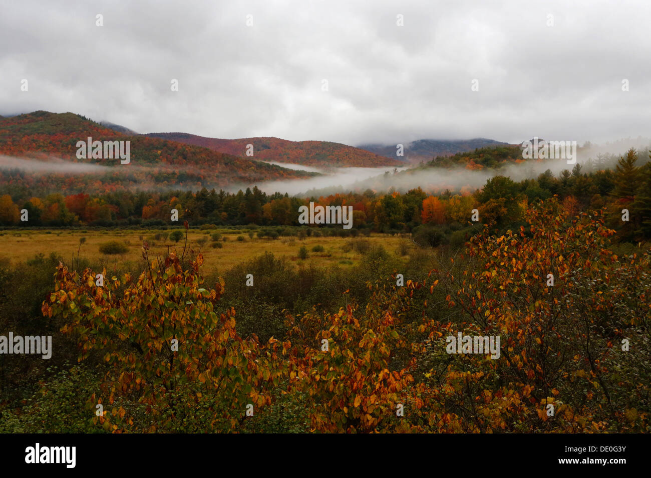 Herbst, Nebel, Adirondacks, Upstate New York, USA Stockfoto