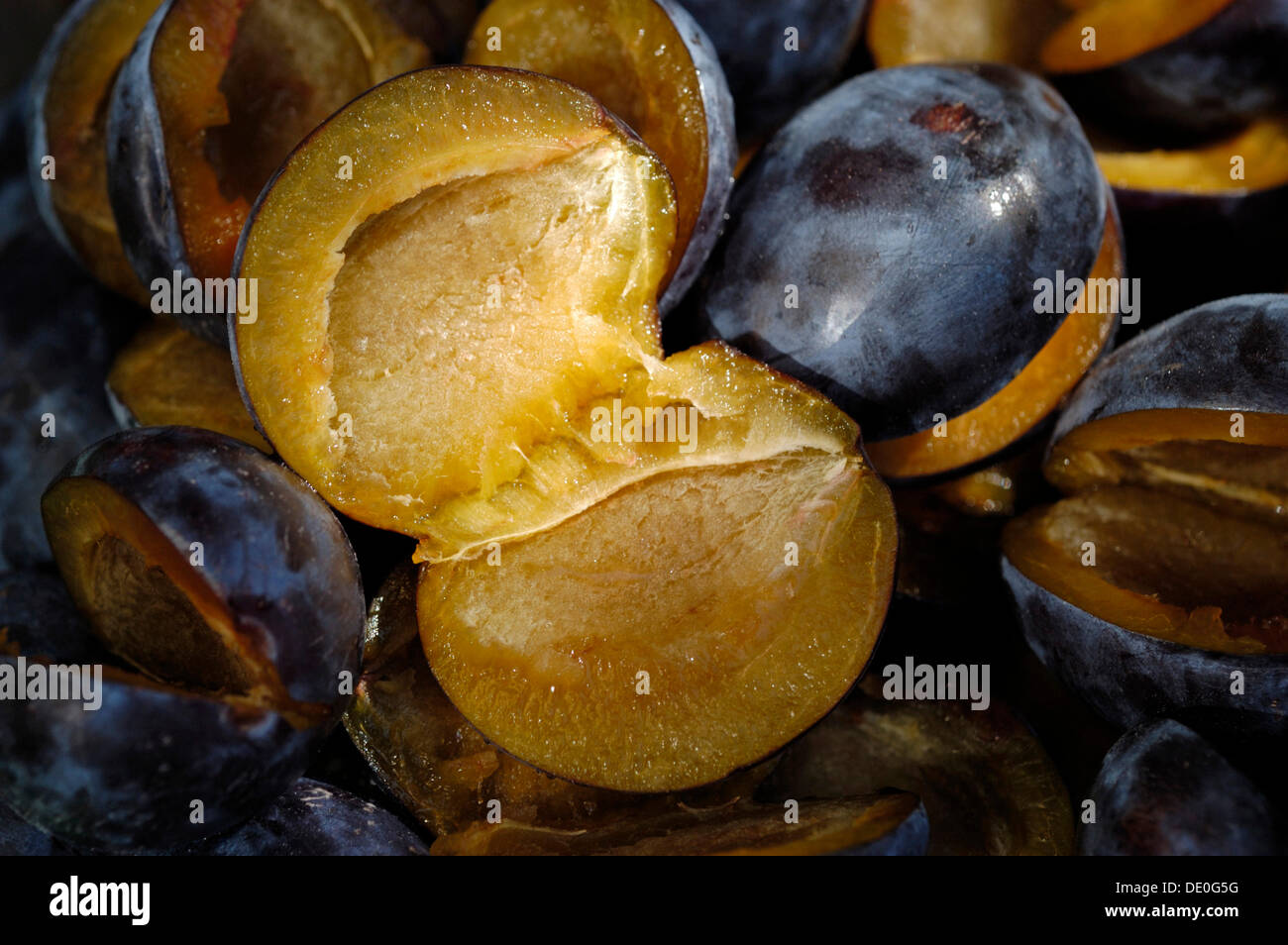In Scheiben geschnittene Pflaumen (Prunus Domestica) Stockfoto