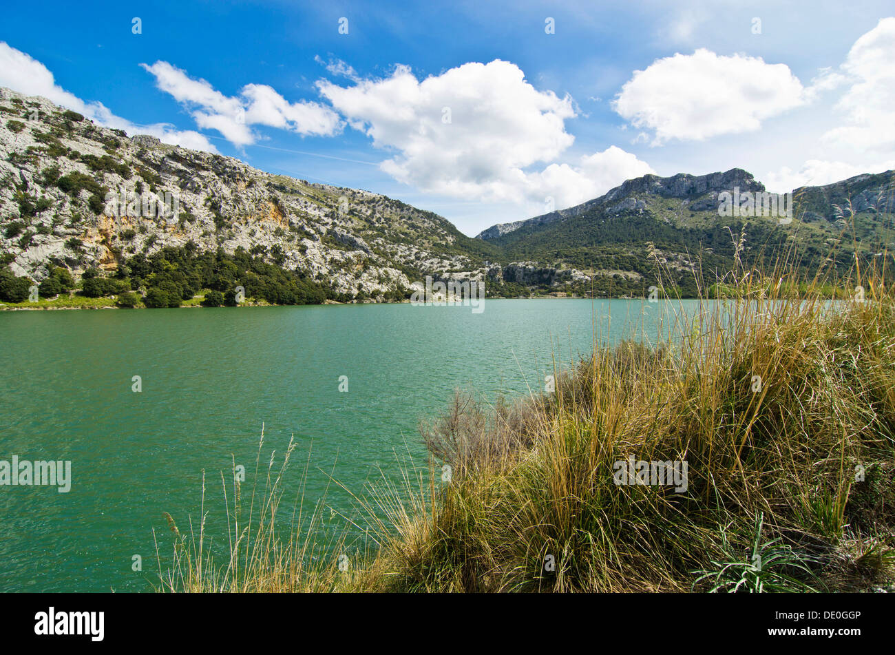 Gorg Blau Süßwassersee, dam, Naturschutzgebiet, Mallorca, Balearen, Spanien, Europa Stockfoto