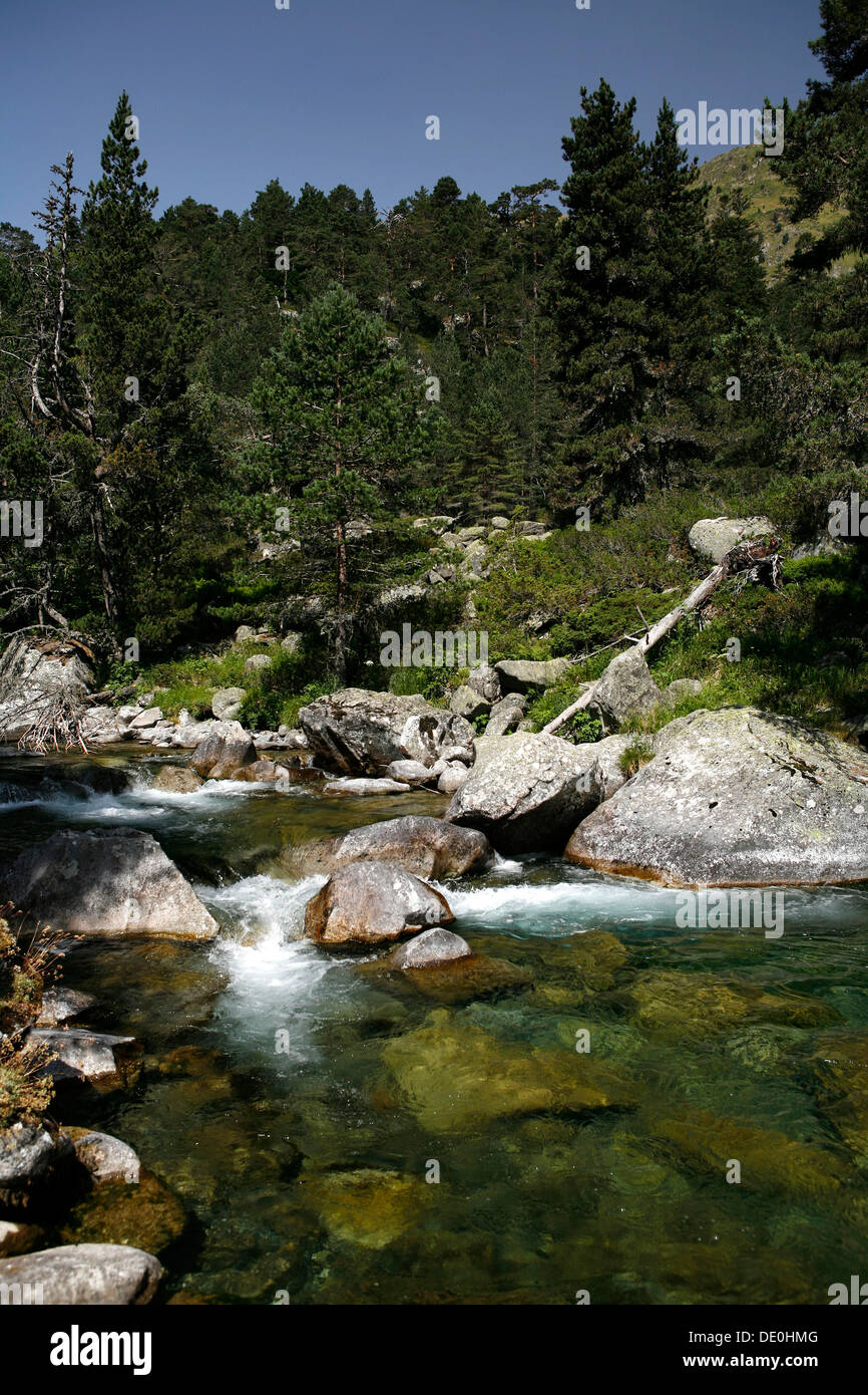 Wildbach, Landschaft in den Pyrenäen, Pyrenäen, National Park in der Nähe von Argeles-gazost, midi-Pyrenees region Stockfoto