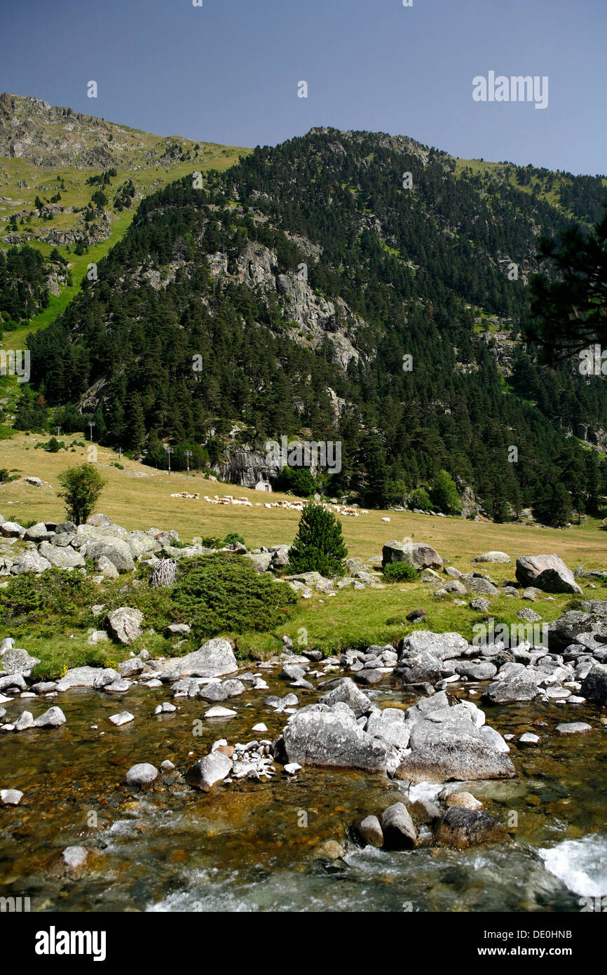 Wildbach, Landschaft in den Pyrenäen, Pyrenäen, National Park in der Nähe von Argeles-gazost, midi-Pyrenees region Stockfoto