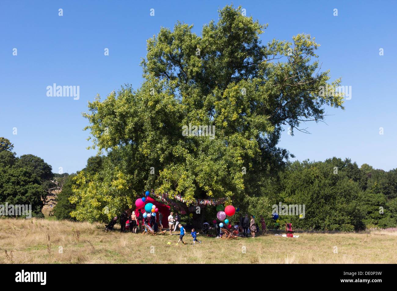 Geburtstag Party - Hampstead Heath - London Stockfoto