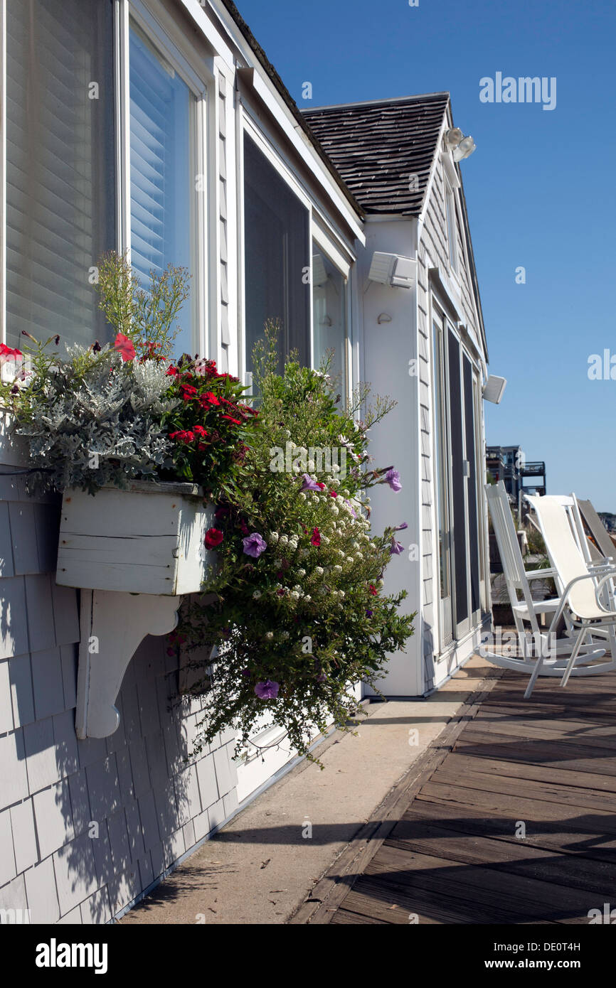 Eine überlaufende Blumenkasten ziert vorne eine Strandhütte in Provincetown, Massachusetts an einem Sonntagmorgen. Stockfoto