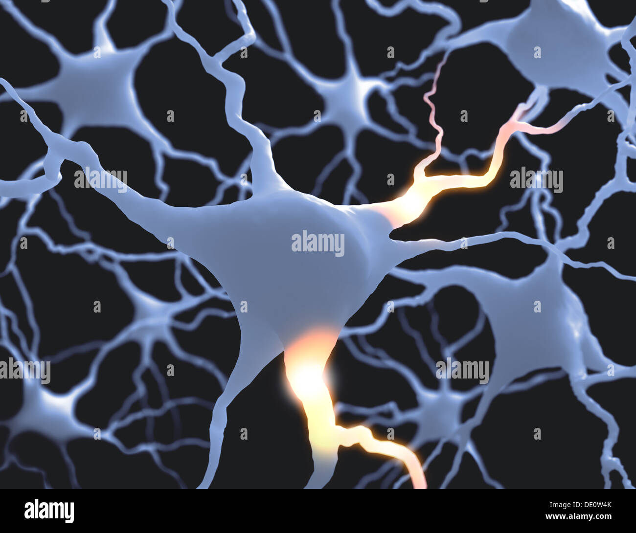 Im Inneren des Gehirns. Konzept der Neuronen und des Nervensystems. Stockfoto