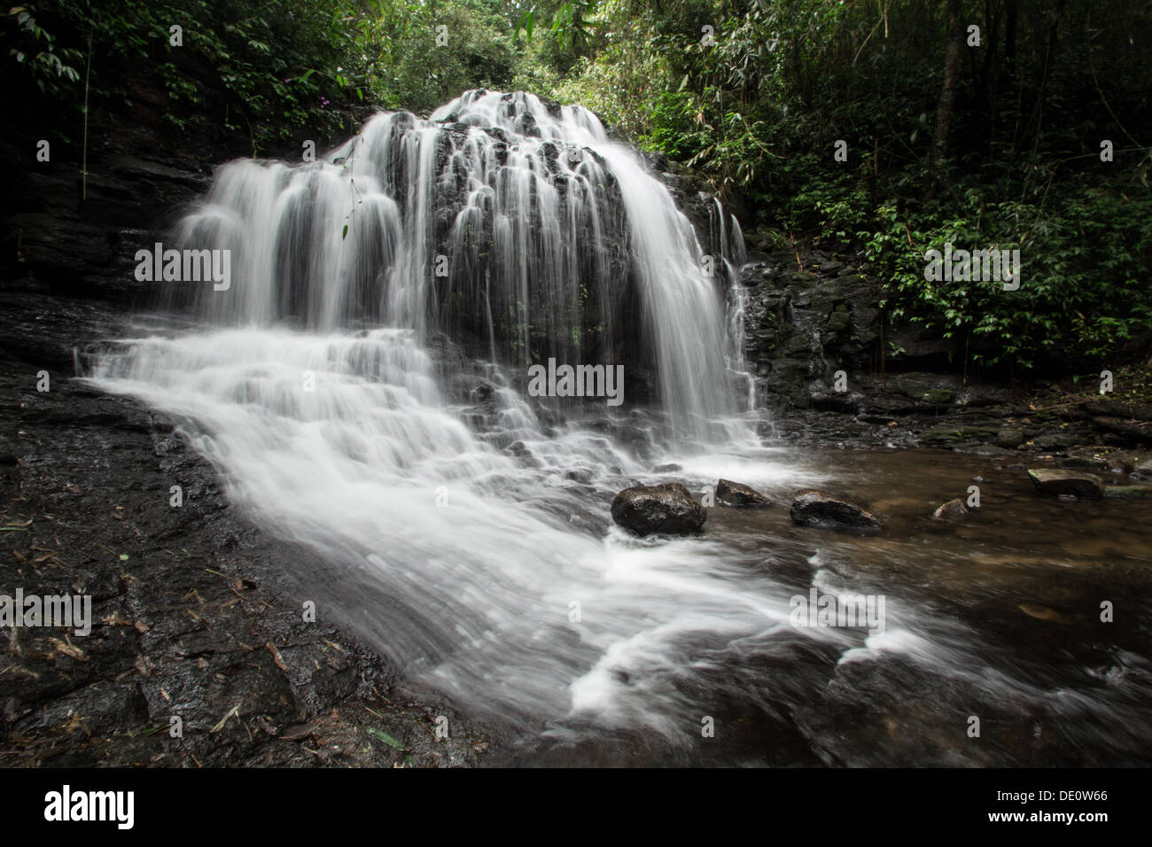 Ein natürlicher Wasserfall in den dichten Wald, Gavi Öko-Tourismus, Kerala Stockfoto