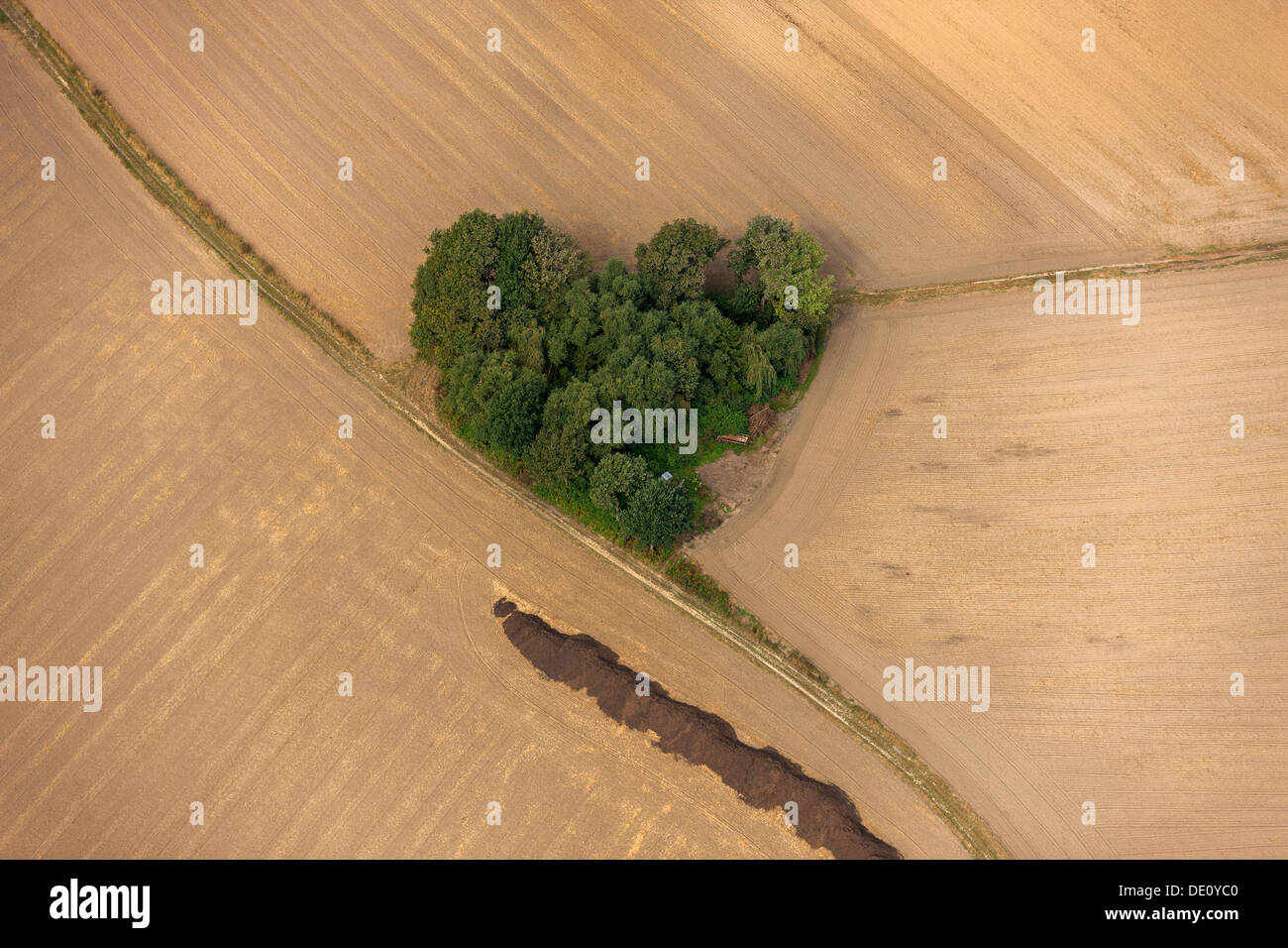 Luftbild, eine herzförmige Bäume, Felder, Datteln, Ruhrgebiet, Nordrhein-Westfalen Stockfoto