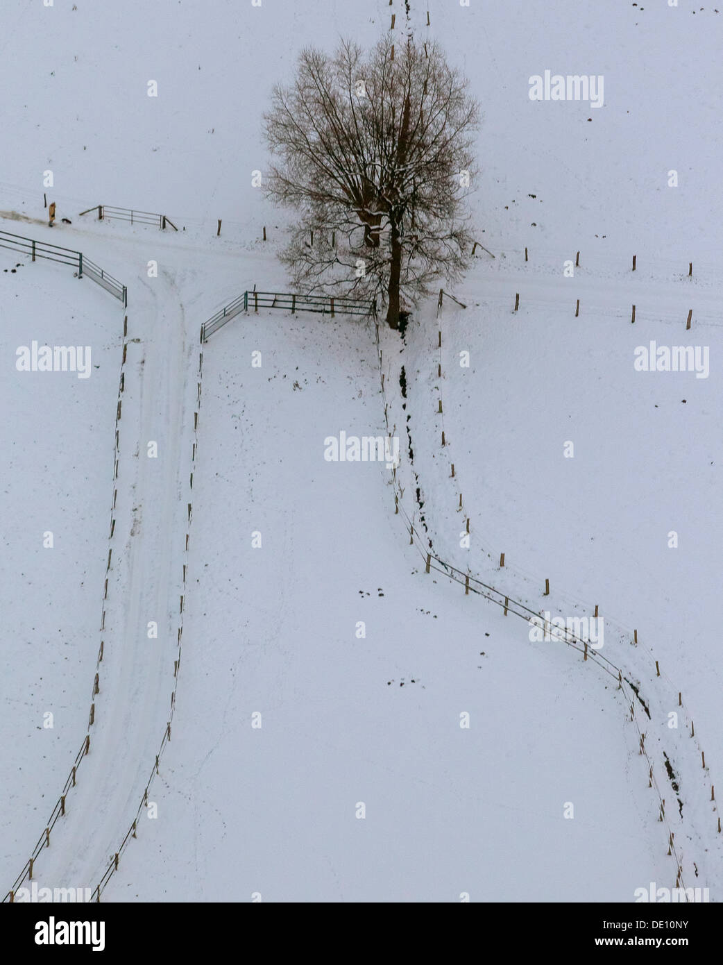 Luftaufnahme, verschneite Feldwege Stockfoto