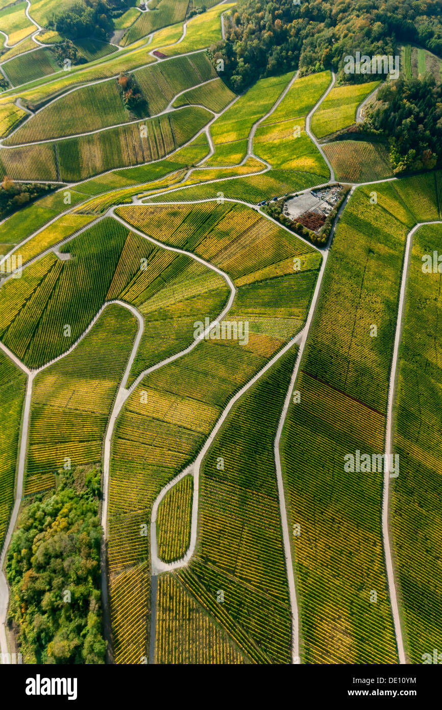 Luftbild, Mosel Wein, Mosel, Weinberge des Schengen-Raums Stockfoto