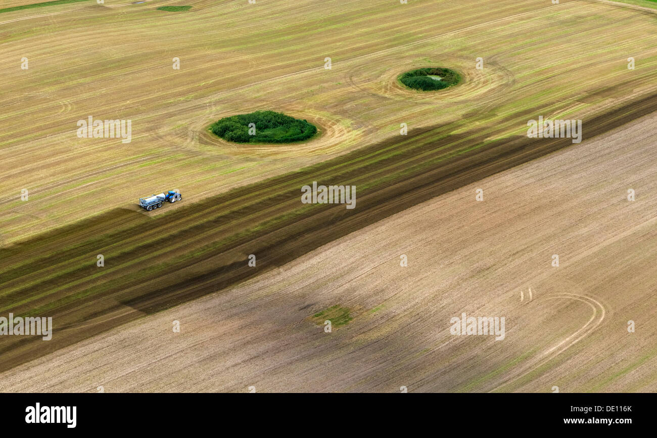Luftaufnahme, abgeernteten Feld mit Waldinseln, Traktor, die Verbreitung von Gülle Stockfoto