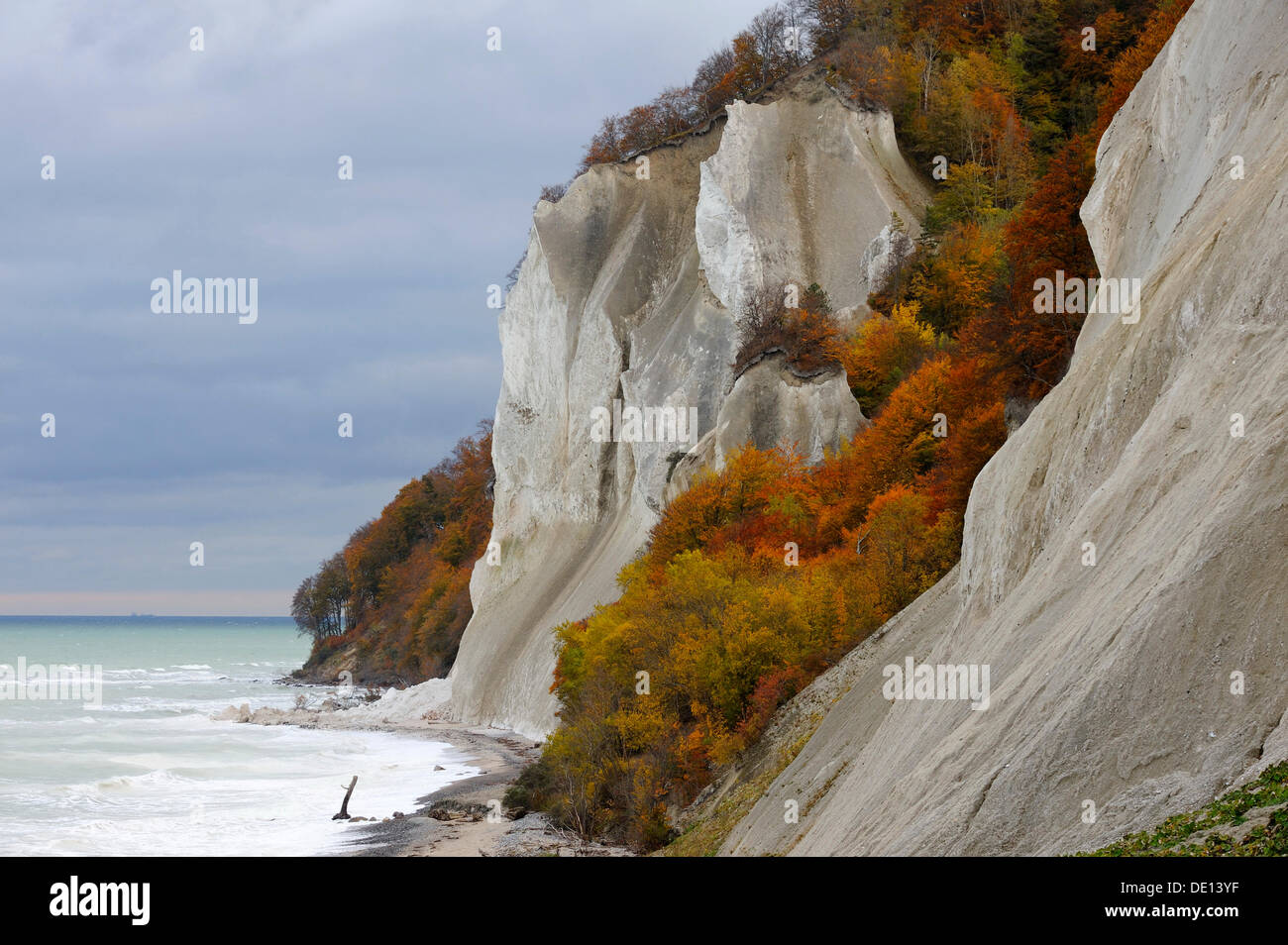 Herbststimmung, Kreidefelsen und die Ostsee, Moensklint, Moen Island, Dänemark, Skandinavien, Europa, *** wichtig: nicht Stockfoto