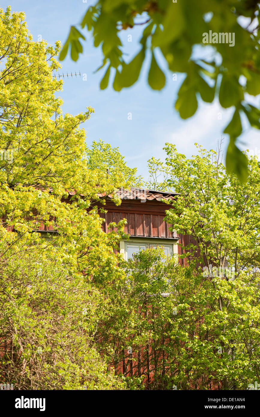 Alte rote Holzhaus und Bäume in Schwedens Hauptstadt Stockholm Stockfoto