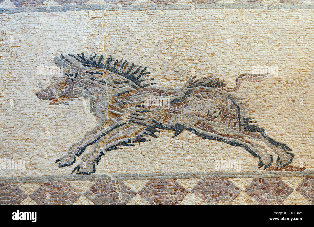 Zypern, Paphos Stadt, Gazibaf, Website der antiken Ruinen, archäologischer Park, Mosaik in das Haus des Dionysos, Tiere Stockfoto