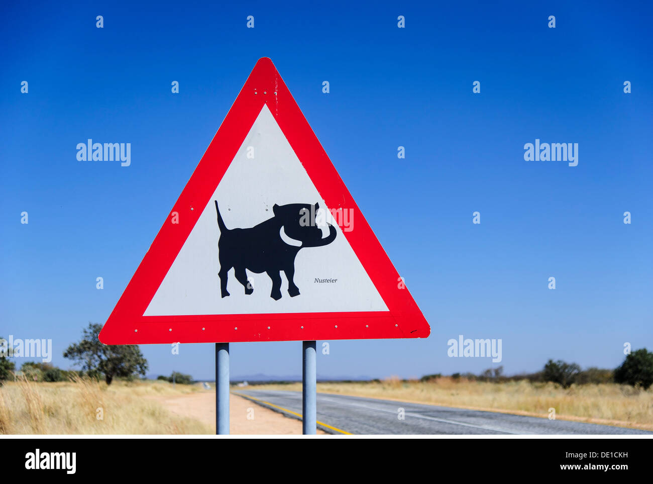Verkehr/Transport, Beschilderung, Schild "Achtung! Warzenschweine Kreuzung', auf der Straße, Caprivi, Namibia, Additional-Rights - Clearance-Info - Not-Available Stockfoto