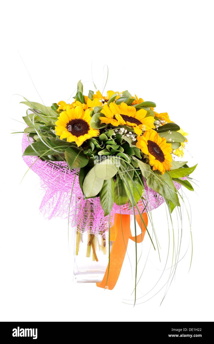 Strauß Sonnenblumen und Blätter auf einem weißen Hintergrund isoliert Stockfoto