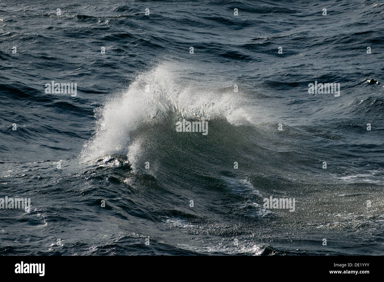 Welle mit Spray auf hoher See, Ostsee, Deutschland Stockfoto
