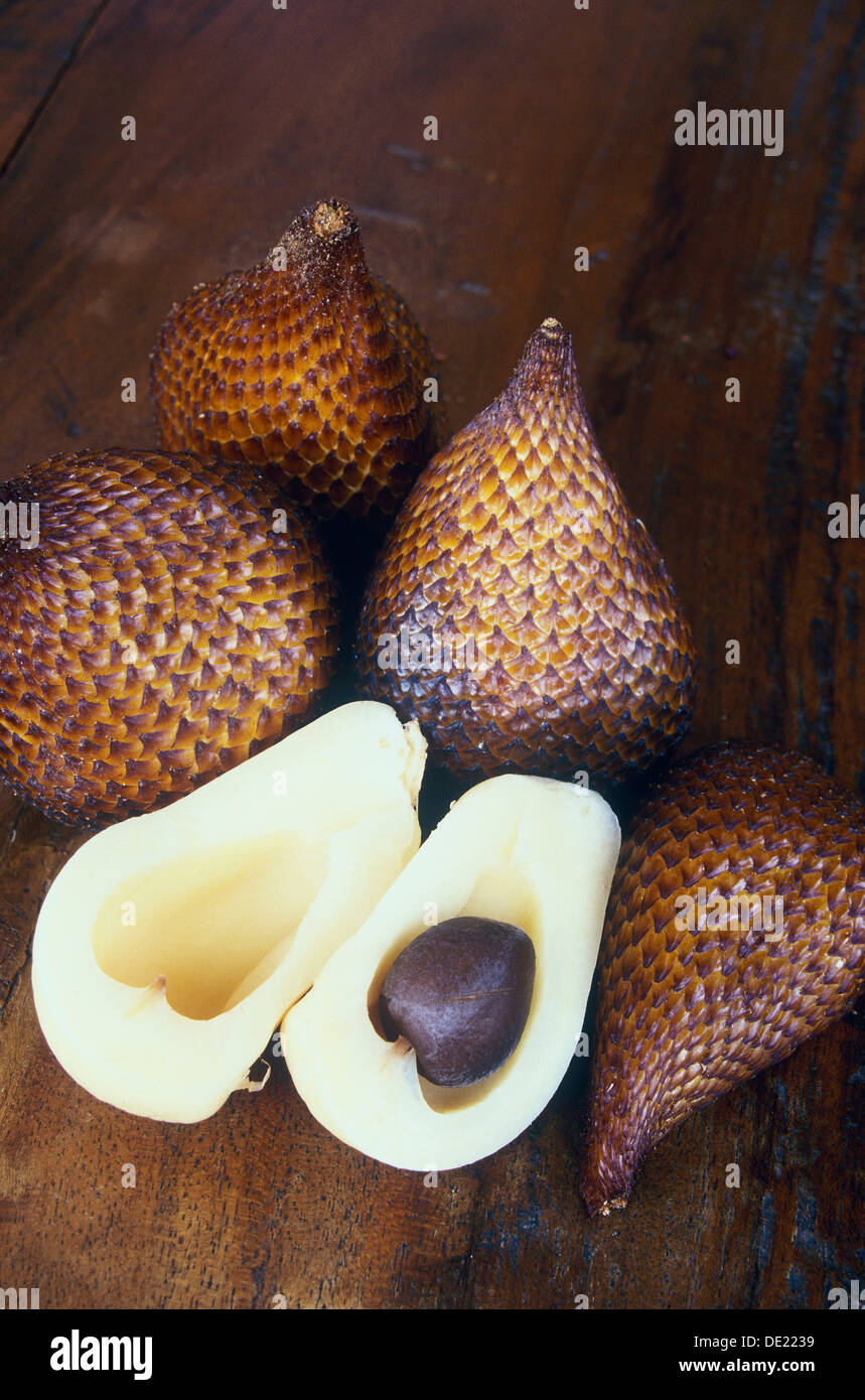 Salaks oder Schlange Frucht, Frucht Salak Palm, Ubud, Bali, Indonesien Stockfoto