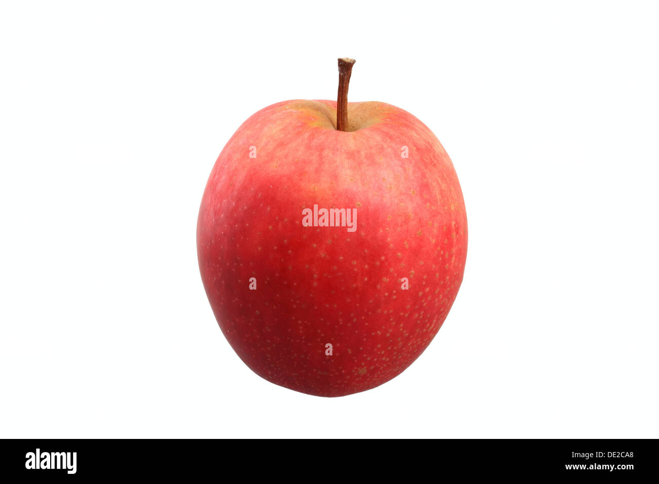 Apple, Summerred Vielfalt Stockfoto
