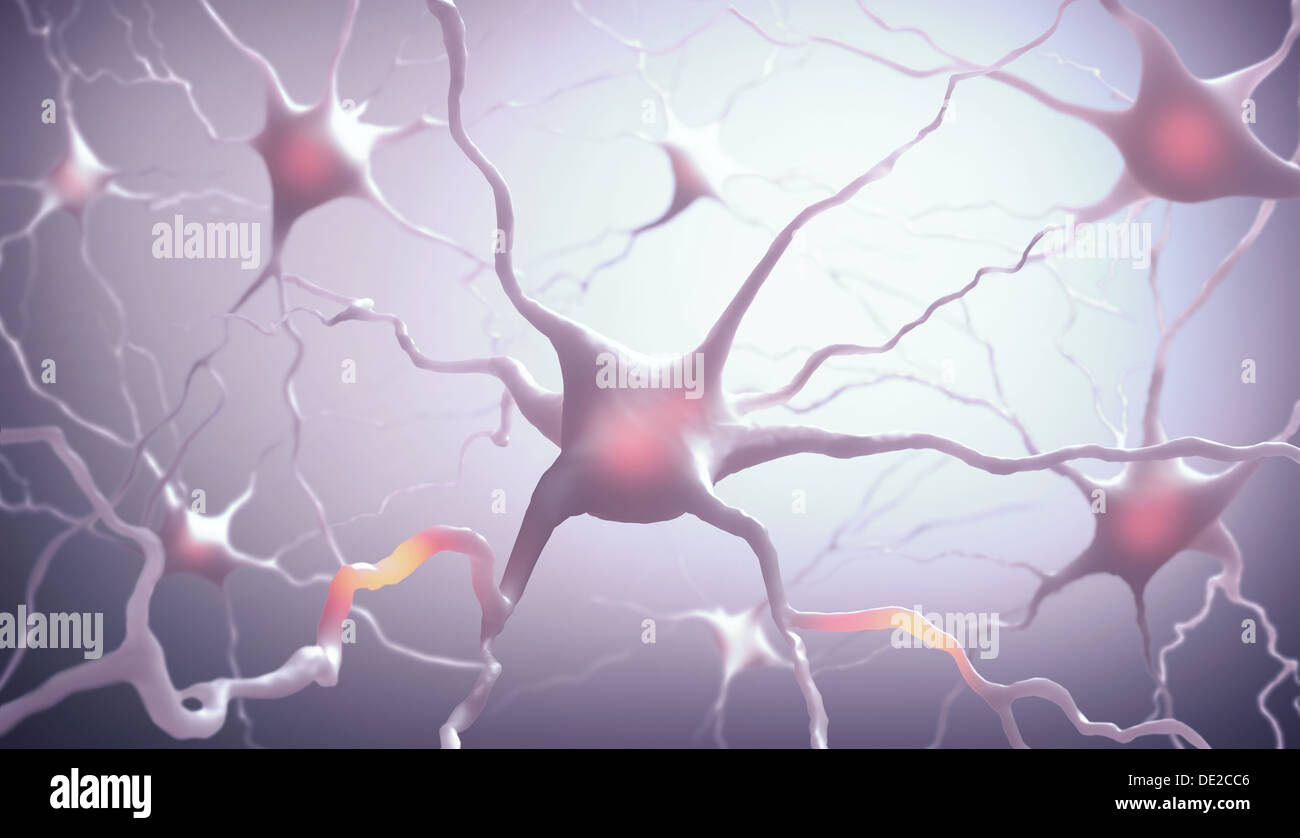 Im Inneren des Gehirns. Konzept der Neuronen und des Nervensystems. Stockfoto