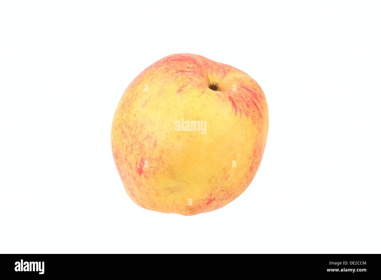 Apple, Doppelter Prinzenapfel Vielfalt Stockfoto