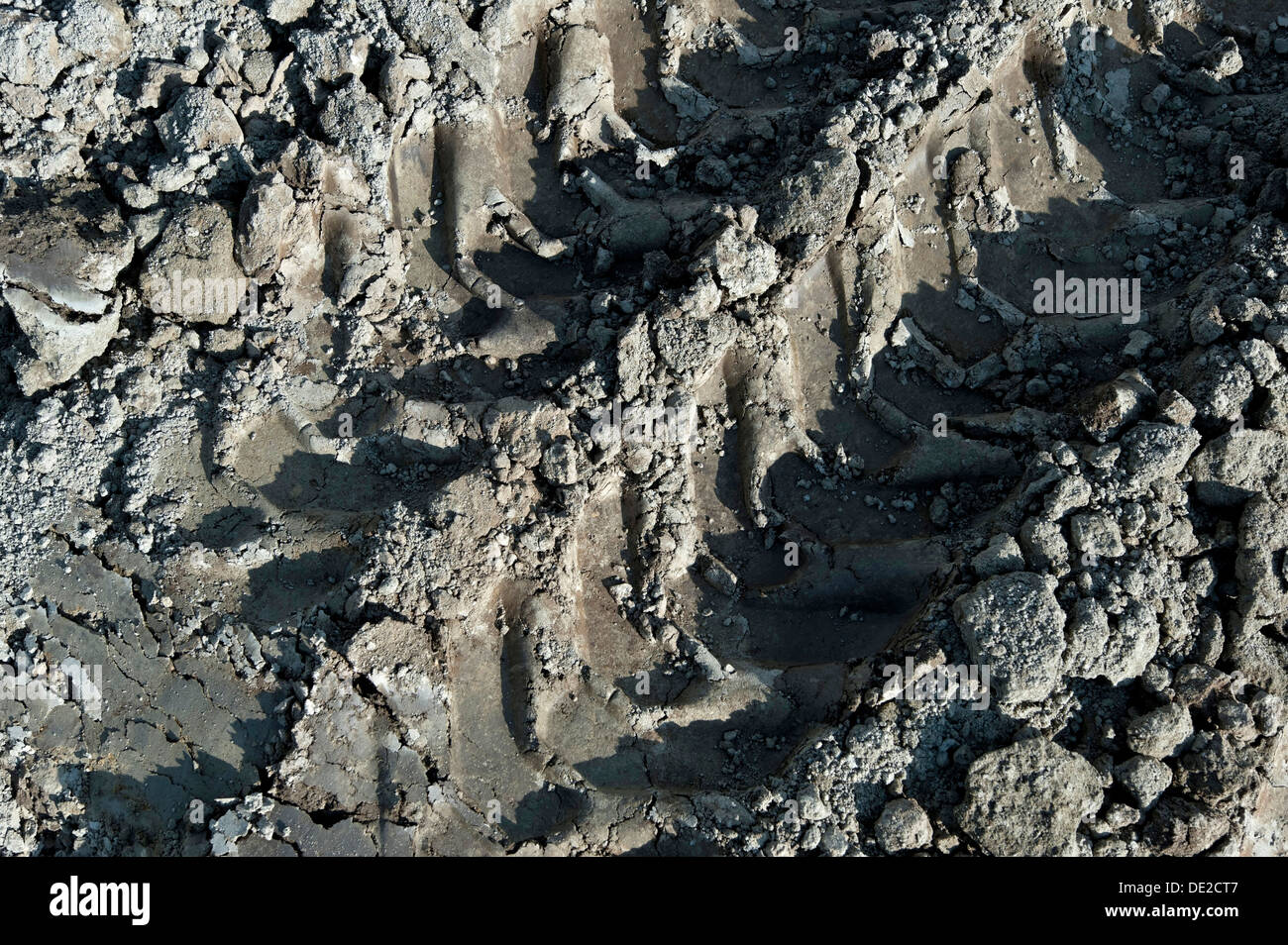 Spuren eines Baggers in sandigen Boden auf einer Baustelle in Fridolfing, Bayern Stockfoto