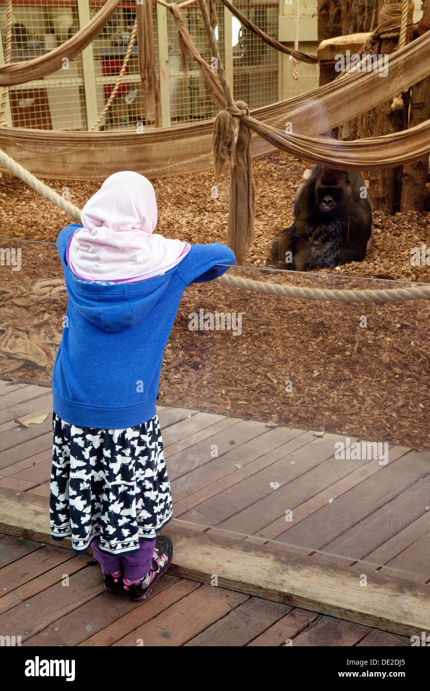 Eine arabische Kind an ein Gorilla im ZSL London Zoo suchen, Regents Park, London, Großbritannien Stockfoto