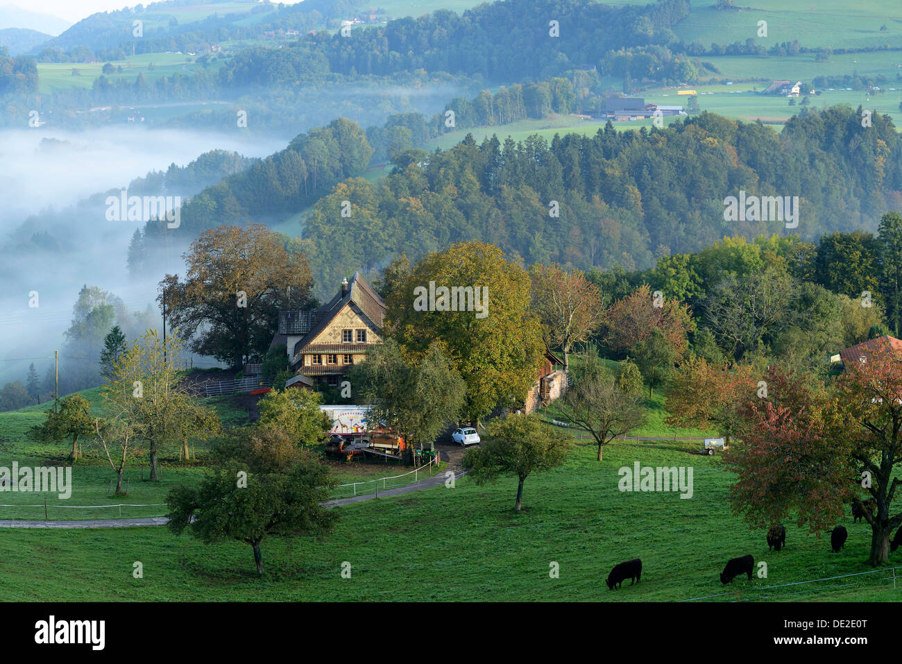 Eine Farm im Herbst, Schwand, Zug, Schweiz, Europa Stockfoto