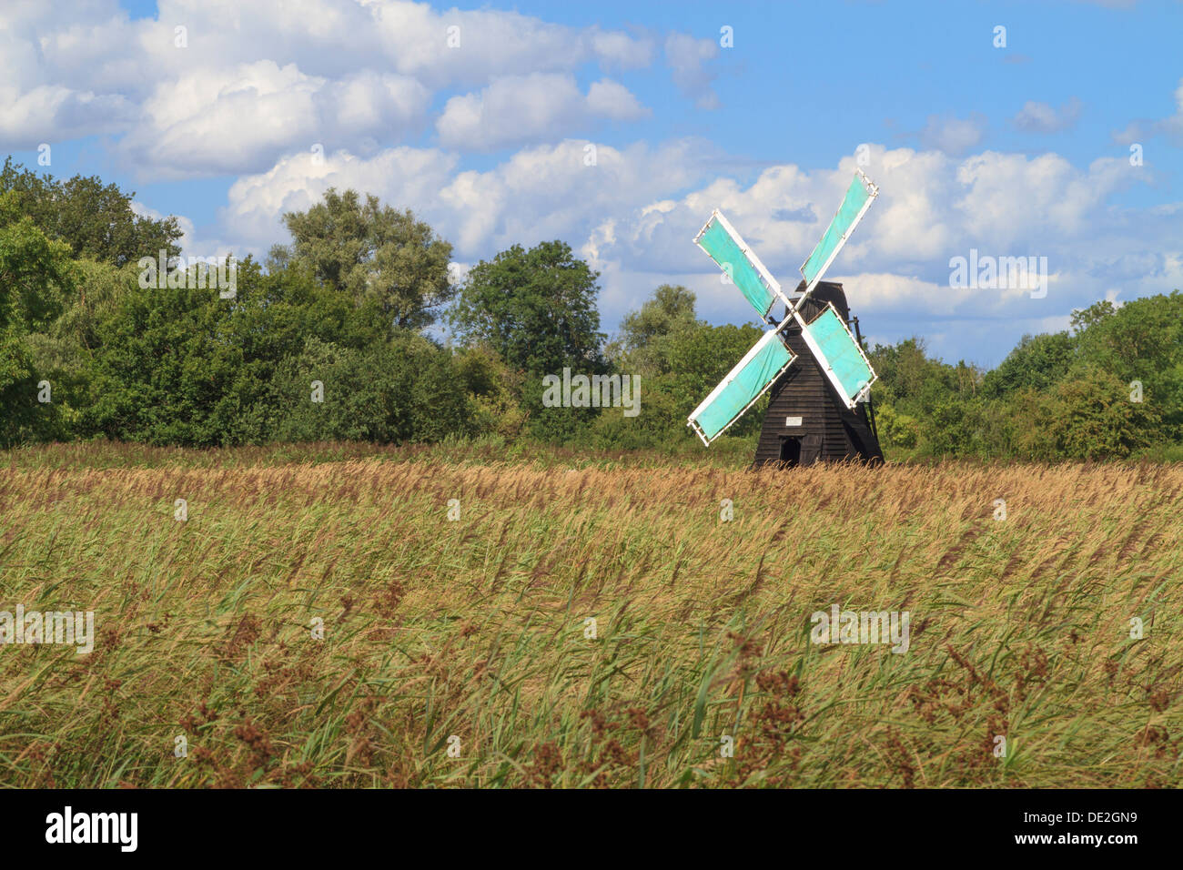 Blick über Wicken Fen zeigt die Wind-Pumpe, Cambridgeshire Stockfoto