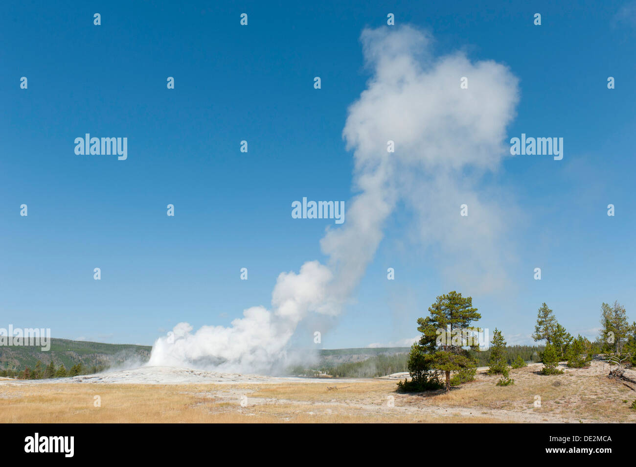 Thermalquelle, schwindende Ausbruch, Geysir, Dampf vor blauem Himmel, Upper Geyser Basin, Old Faithful, Yellowstone-Nationalpark Stockfoto