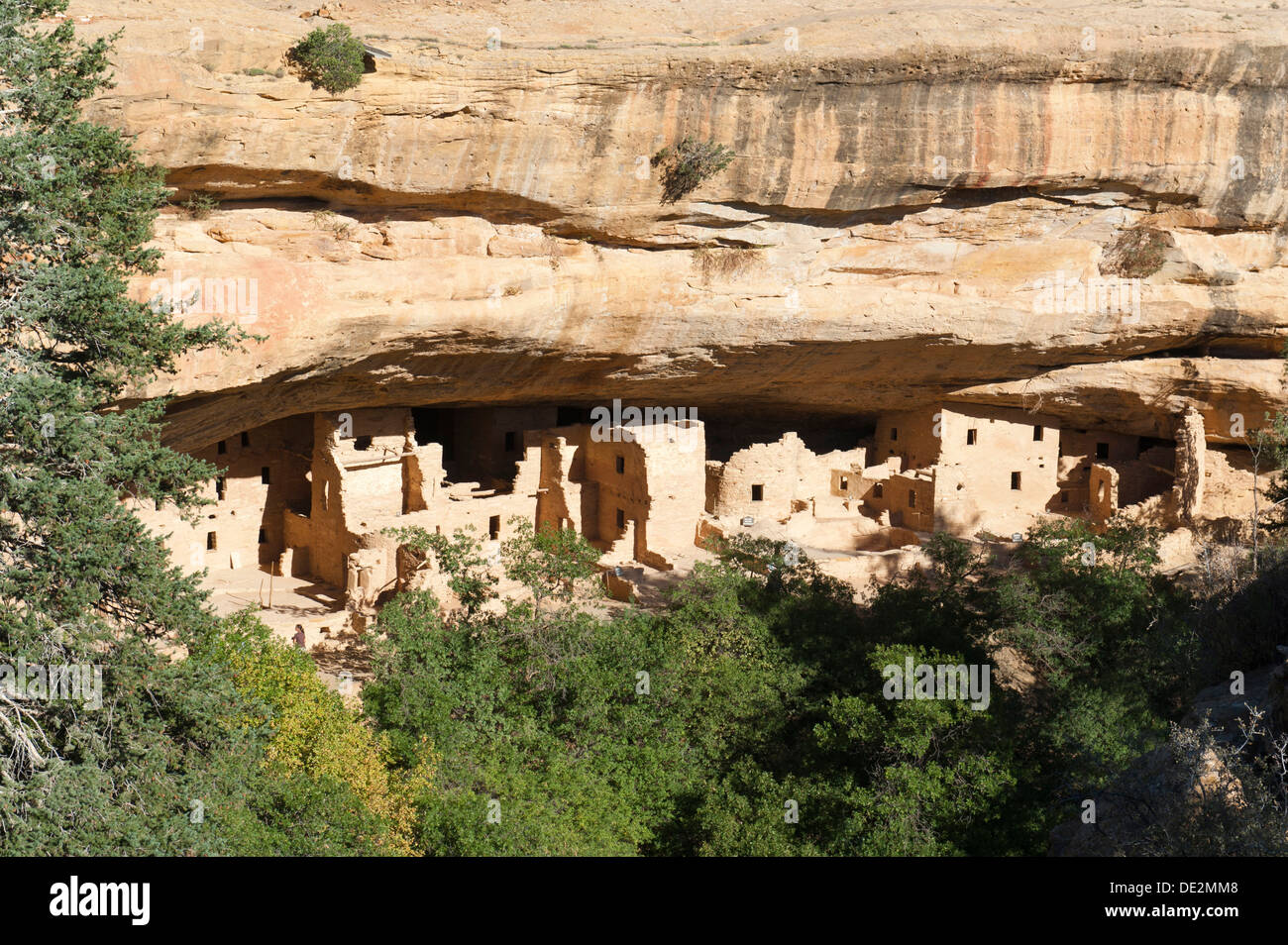 Verlassene Siedlung der Anasazi-Indianer unter Steinen, mit Mauern und Ruinen, Spruce Tree House, Mesa Verde Nationalpark Stockfoto