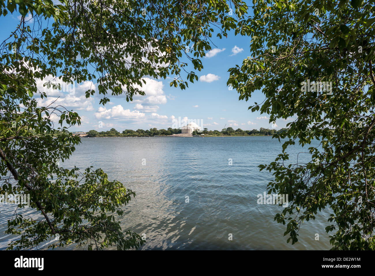 WASHINGTON DC, USA - Die berühmten yoshino Cherry Trees rund um das Tidal Basin in Washington DC im Sommer mit Ihrer vollen grün Blatt abdecken. In den frühen Frühling, mehrere tausend Kirschbäume im Bereich Burst in Blume mit rosa und weißen Blüten. In der Ferne ist das Jefferson Memorial. Stockfoto