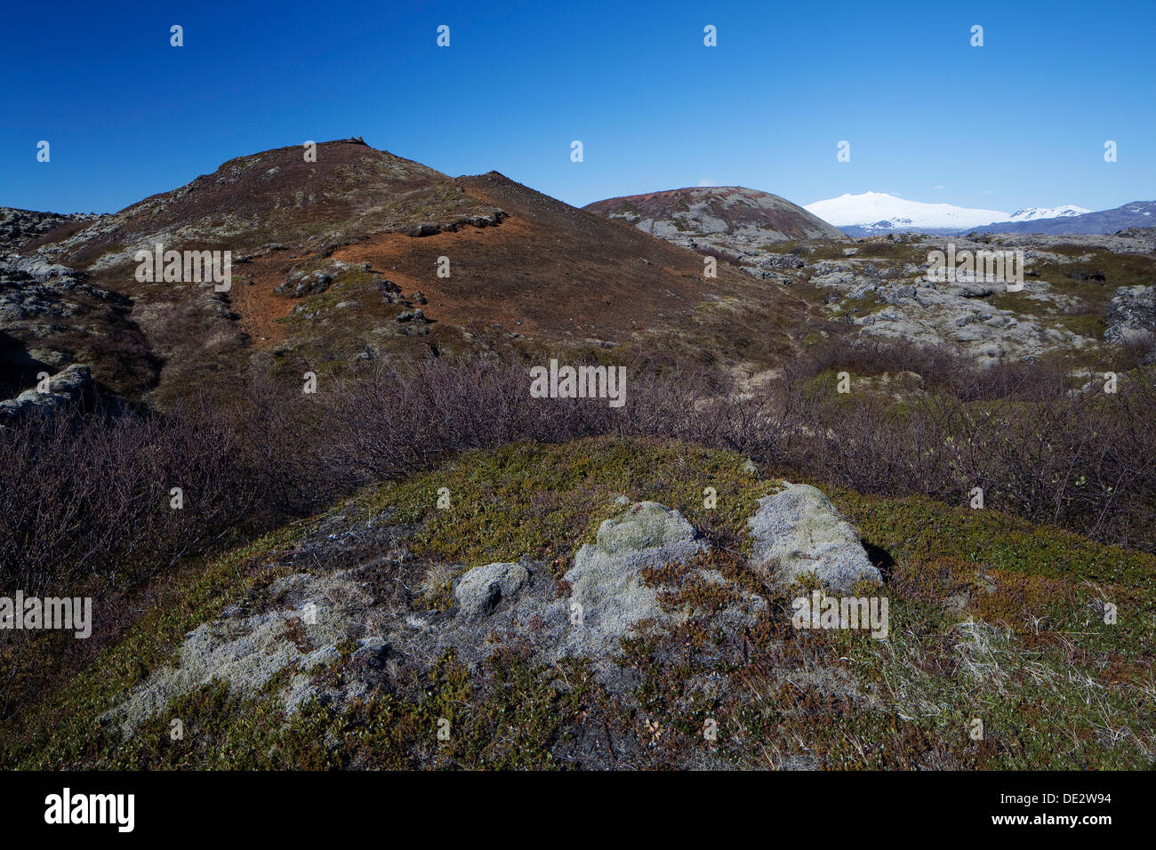 Und budaklettur Snefell berge Snaefellsness Budir, National Park, Island, Europa Stockfoto